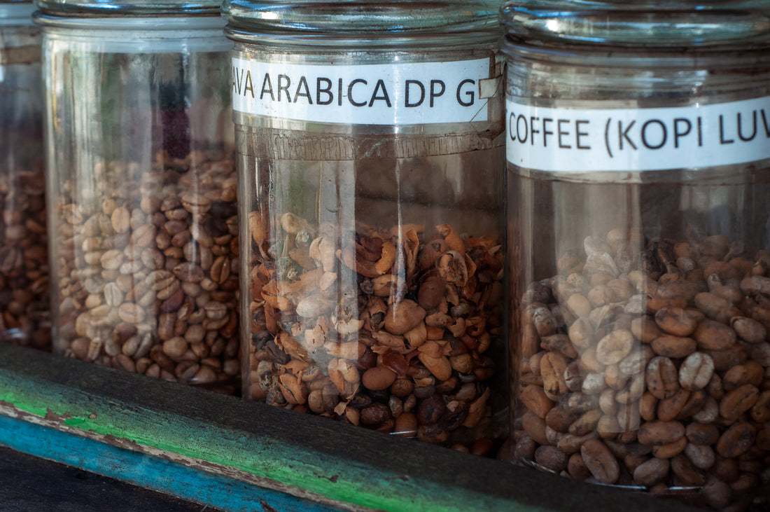 Coffee 101: Understanding the Different Types of Coffee Beans